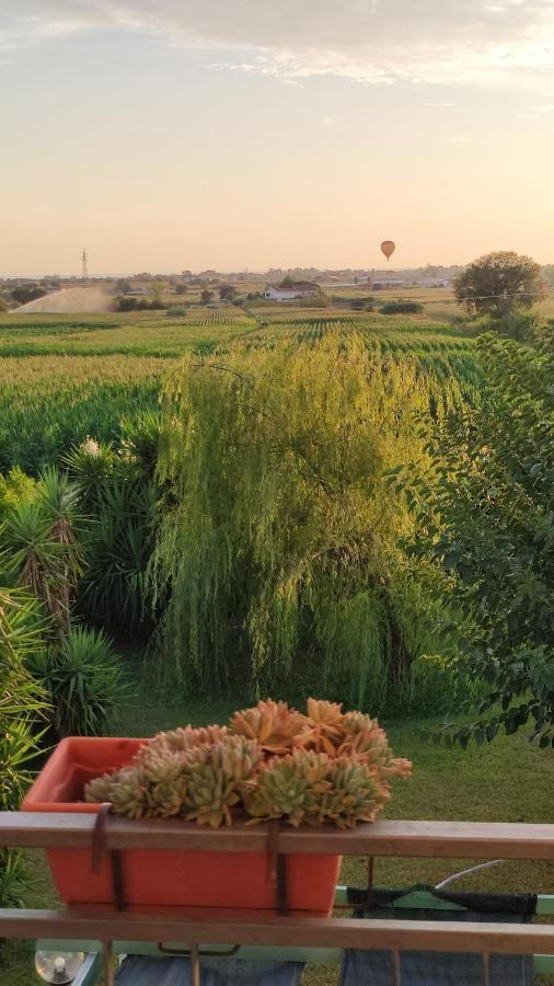 Bed and Breakfast Le Colline Di Paestum Capaccio Екстер'єр фото